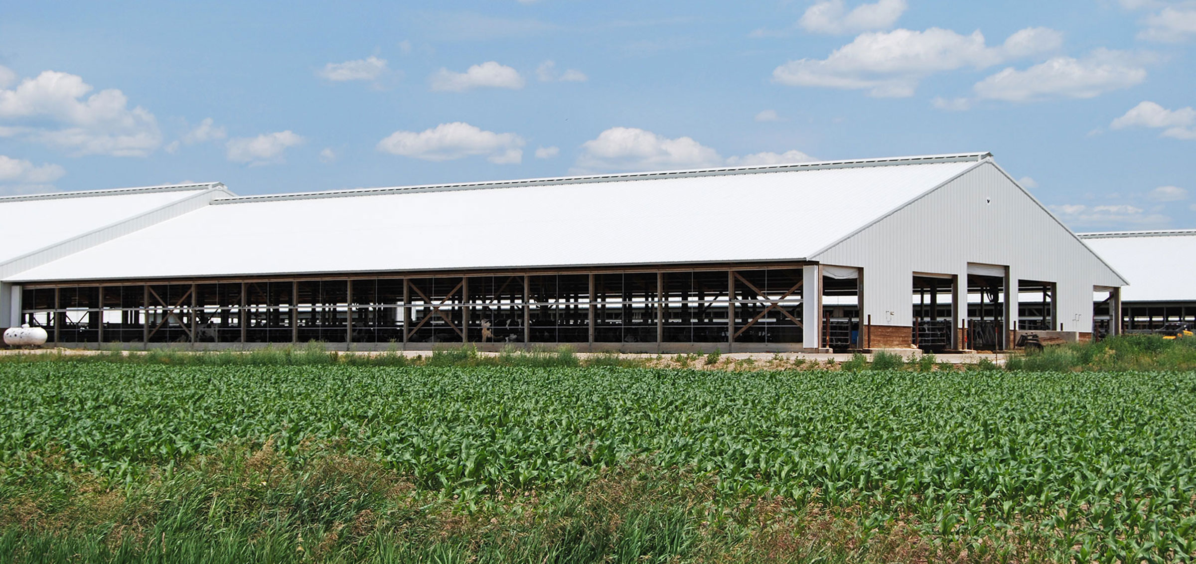 Post-Frame Agricultural Free Stall Barn